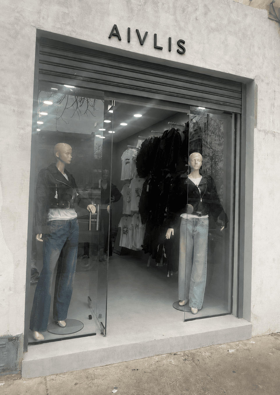 Puerta del showroom AIVLIS